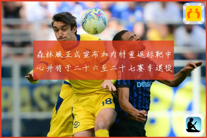 森林狼正式宣布加内特重返标靶中心并将于二十六至二十七赛季退役赛场复盘