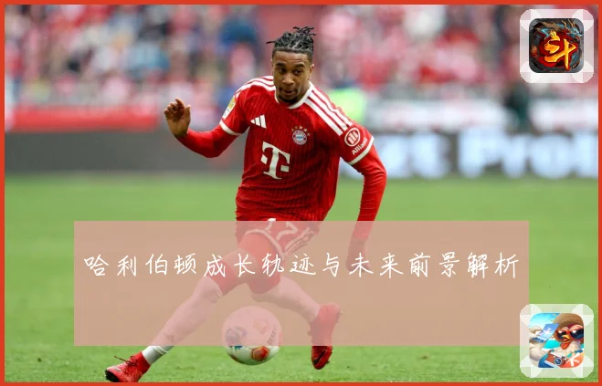哈利伯顿成长轨迹与未来前景解析